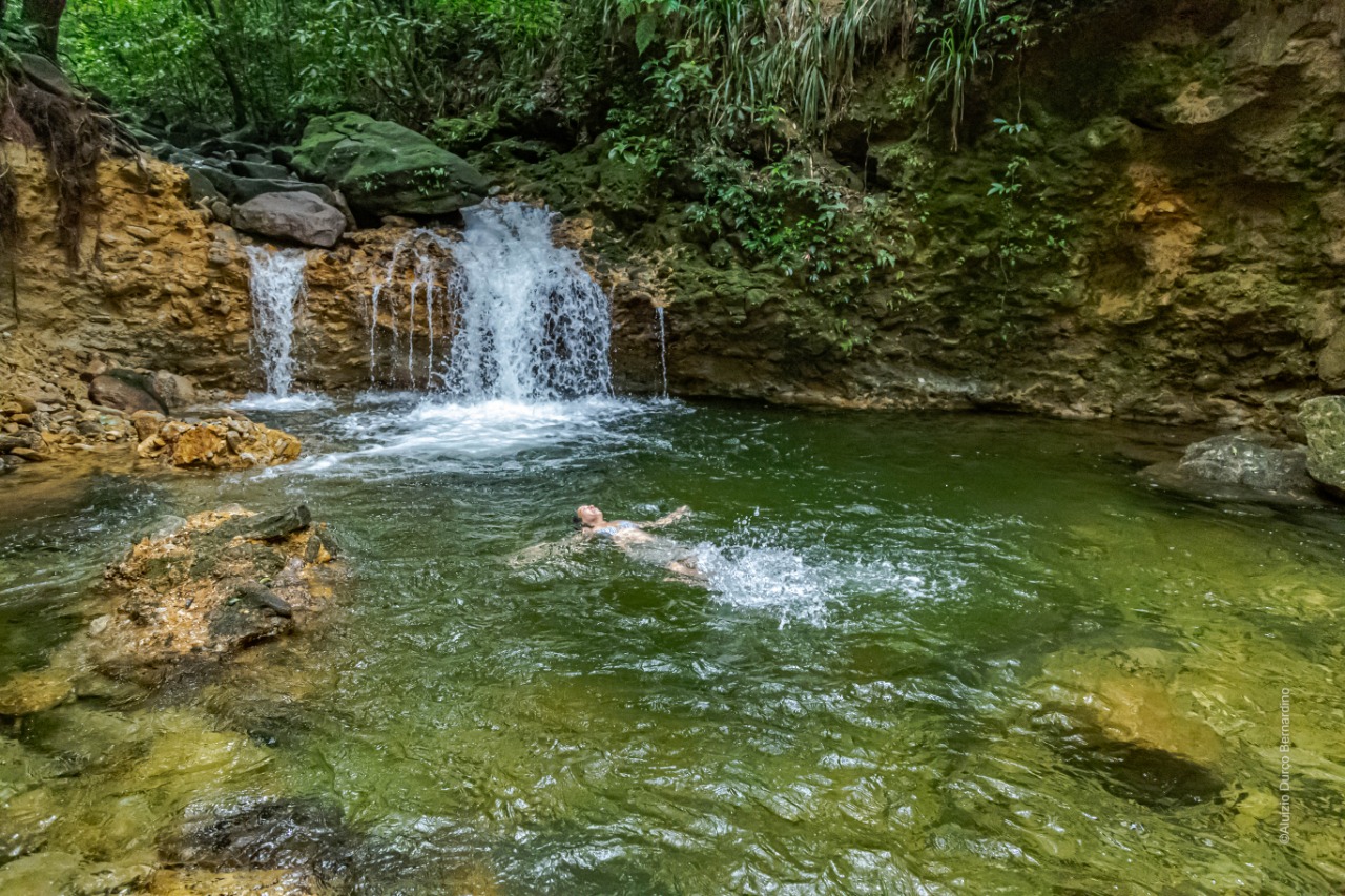 Viagem Para Bertioga A Cachoeira Da Torre Sa Da De S O Paulo