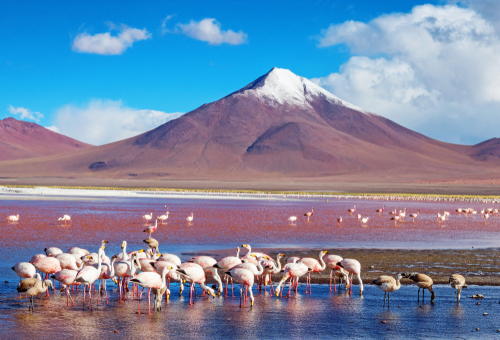 Feriado De P Scoa Na Bol Via La Paz Salar De Uyuni Dias