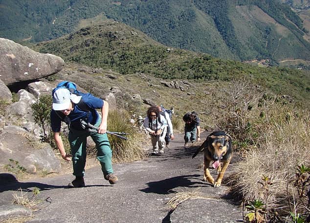 Trekking para o Pico dos Marins com saída de São Paulo - Desviantes