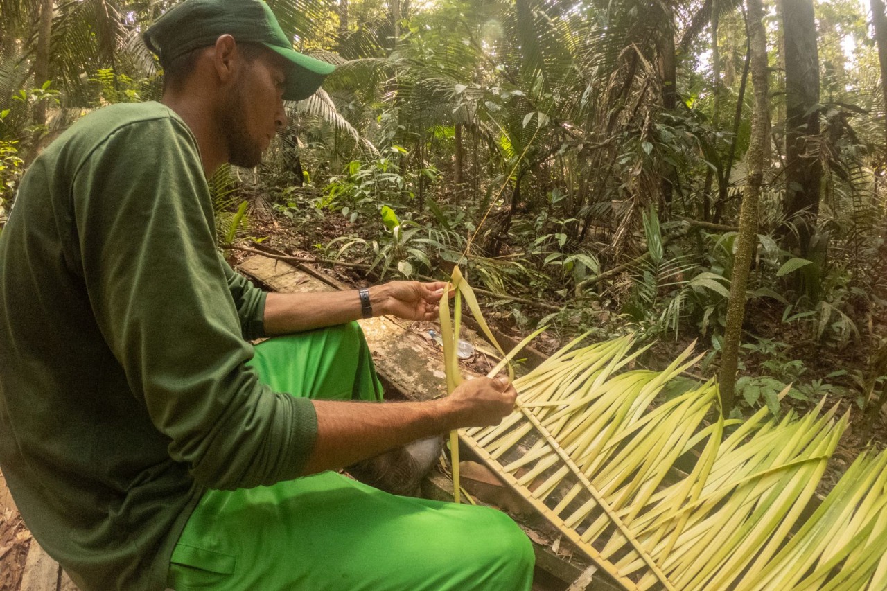 Confira 8 dicas de sobrevivência na Floresta Amazônica - Portal