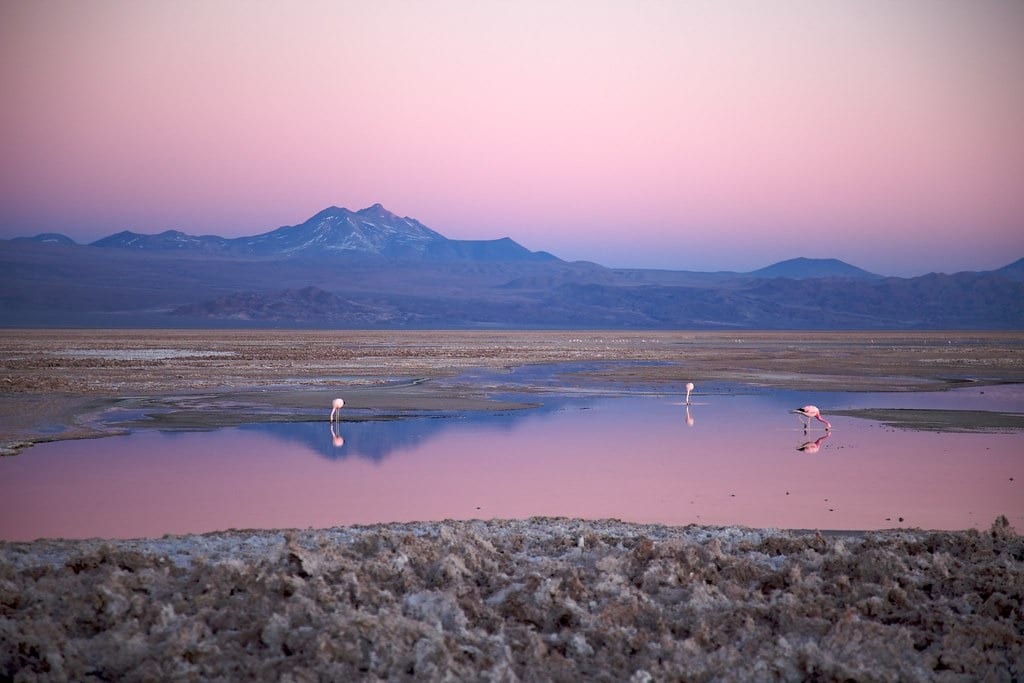 Feriado da Consciência Negra - América do Sul em Dose Dupla: Atacama + Salar de Uyuni - 9 dias