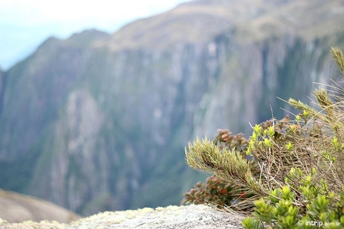 Trilha do Pico da Pedra do Sino Parque Nacional da Serra dos Orgaos